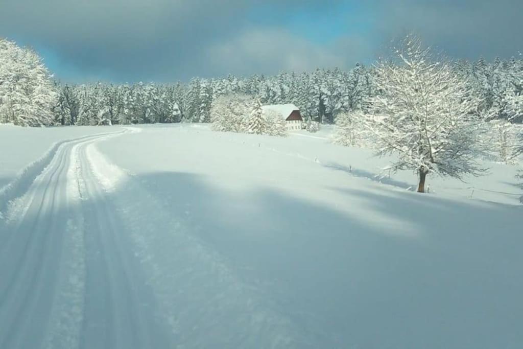 Ferienwohnung Im Schwarzwald Unterkirnach ภายนอก รูปภาพ